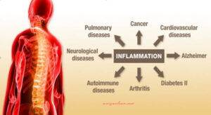 Fight against inflammation