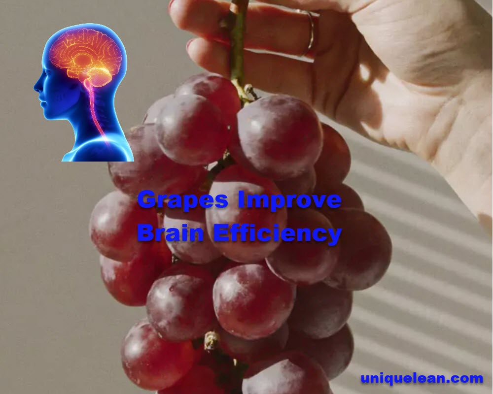 Improve Brain Efficiency 