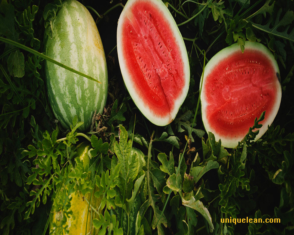 Best Six Benefits of Watermelon 