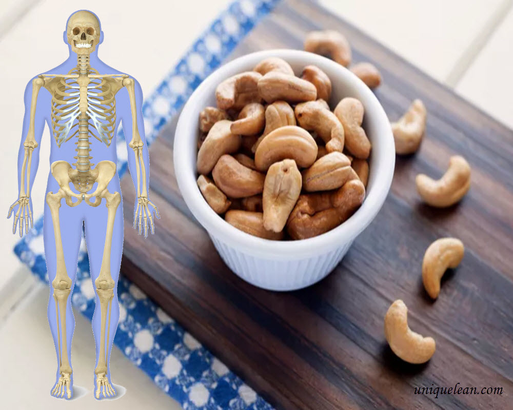 Cashew Nuts Bone Health