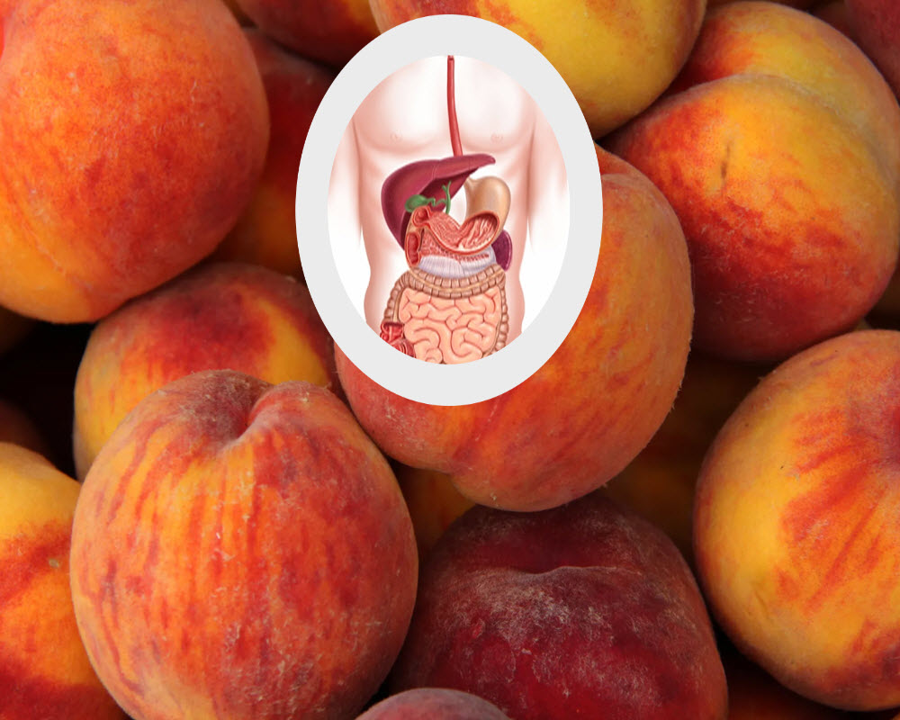 Boost Immune System
